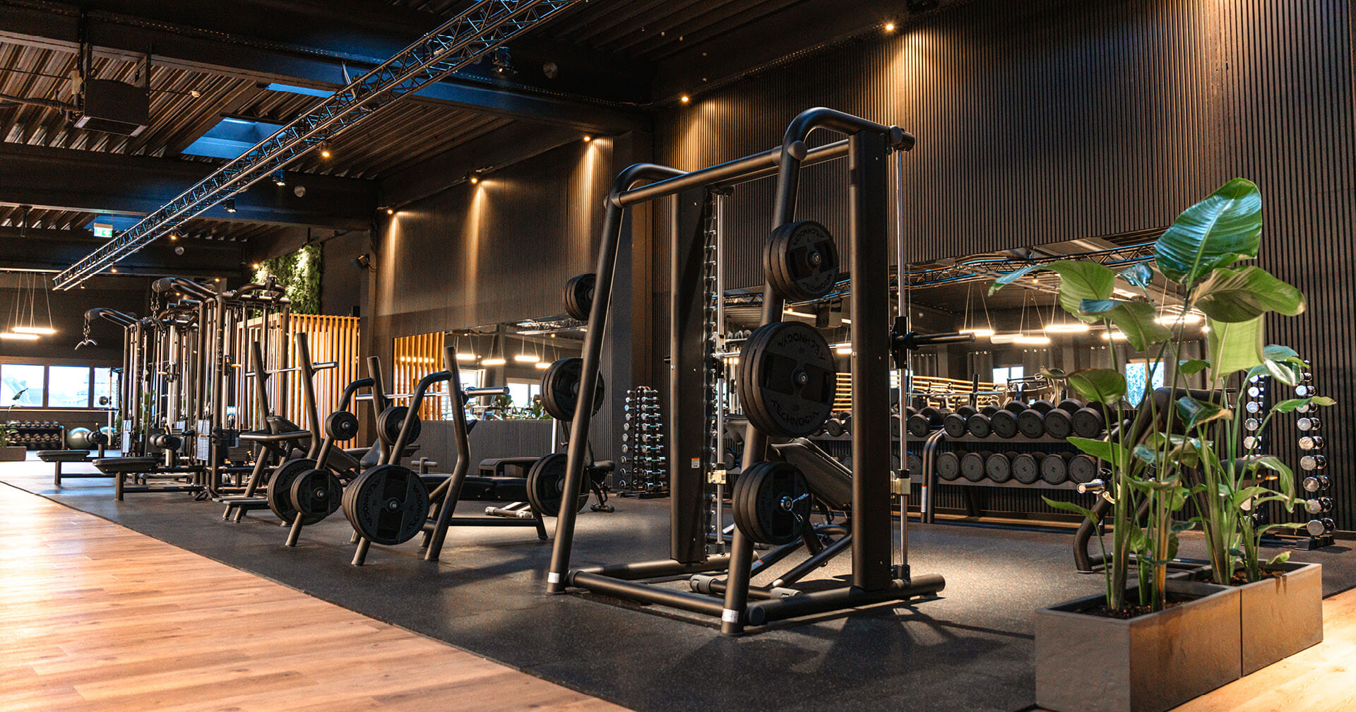 Moderner, hochwertig ausgestatteter Kraftbereich eines Premium-Fitnessclubs mit mattschwarzen Racks, Hanteln und stimmungsvoller Beleuchtung.