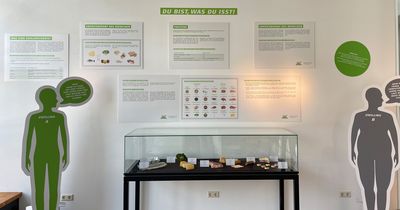 Ausstellungsbereich der IST-Hochschule im Besucherzentrum des Museums KÖRPERWELTEN