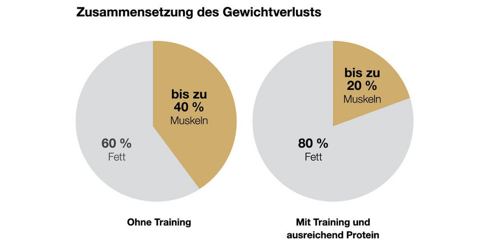 Die Abnehmspritze – Segen oder Fluch für Fitnessstudios? - 1 Zusammensetzung des Gewichtsverlusts - Ohne Training im Vergleich mit Training und ausreichend Protein