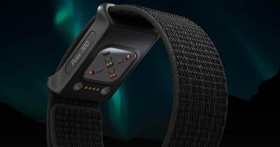 Polar 360 – das erste vollständig skalierbare Wearable für den B2B-Bereich