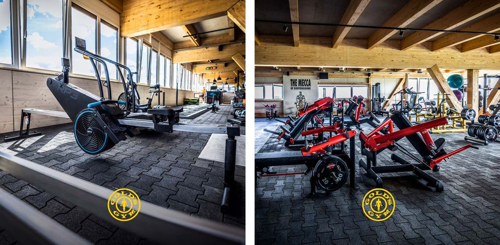Rsg Group Gmbh Tannenberg 4 96132 Schlusselfeld RSG Group eröffnet das erste Gold's Gym in der Schweiz | BODYMEDIA