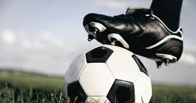 Webinar Der Deutschen Sportakademie: Einblicke in modernes Scouting im Profifußball