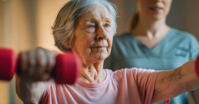 Weit mehr als nur eine Ergänzung: Laut Physio Deutschland bildet die Bewegungstherapie ein notwendiges Fundament in der Krebsbehandlung. Studien belegen, dass sie der Schlüssel ist, um Betroffenen langfristig mehr Lebensqualität zurückzugeben.