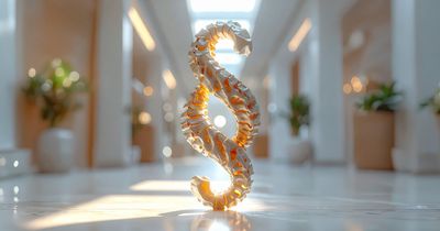 Rückgrat als Paragraphzeichen vor heller Physiotherapiepraxis