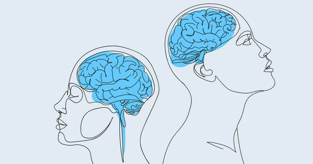 Neuer Lehrgang der Deutschen Sportakademie: „Grundlagen der Neurodivergenz"