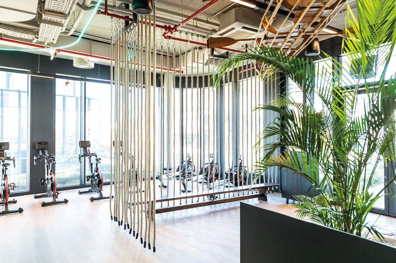 Heller Fitnessraum mit Indoor-Bikes, dekorativen H&auml;ngeseilen als Raumteiler und gro&szlig;en Fenstern, im Vordergrund eine gr&uuml;ne Pflanze.