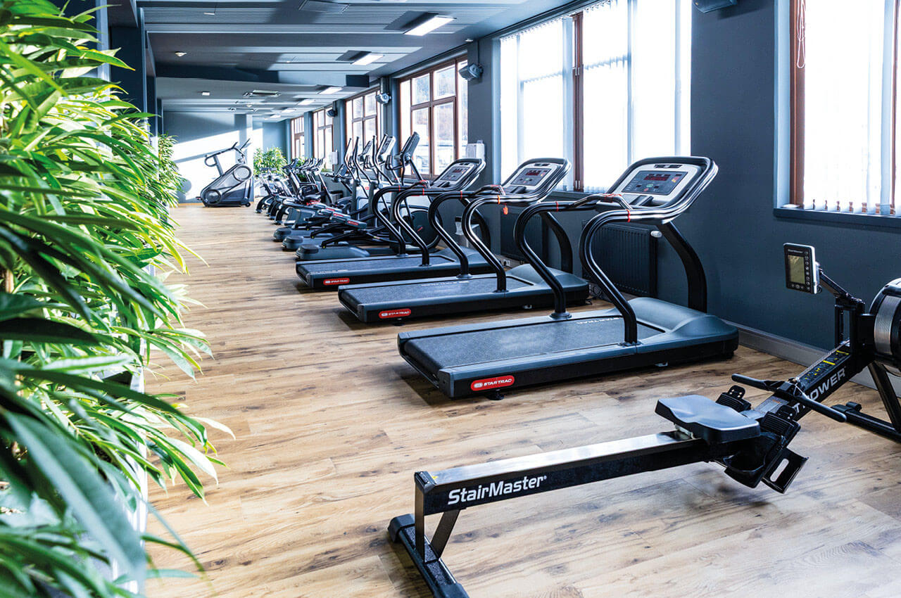 Helles Fitnessstudio mit Holzboden, verschiedenen Trainingsger&auml;ten, darunter Laufb&auml;nder, und gr&uuml;nen Pflanzen zur Dekoration.