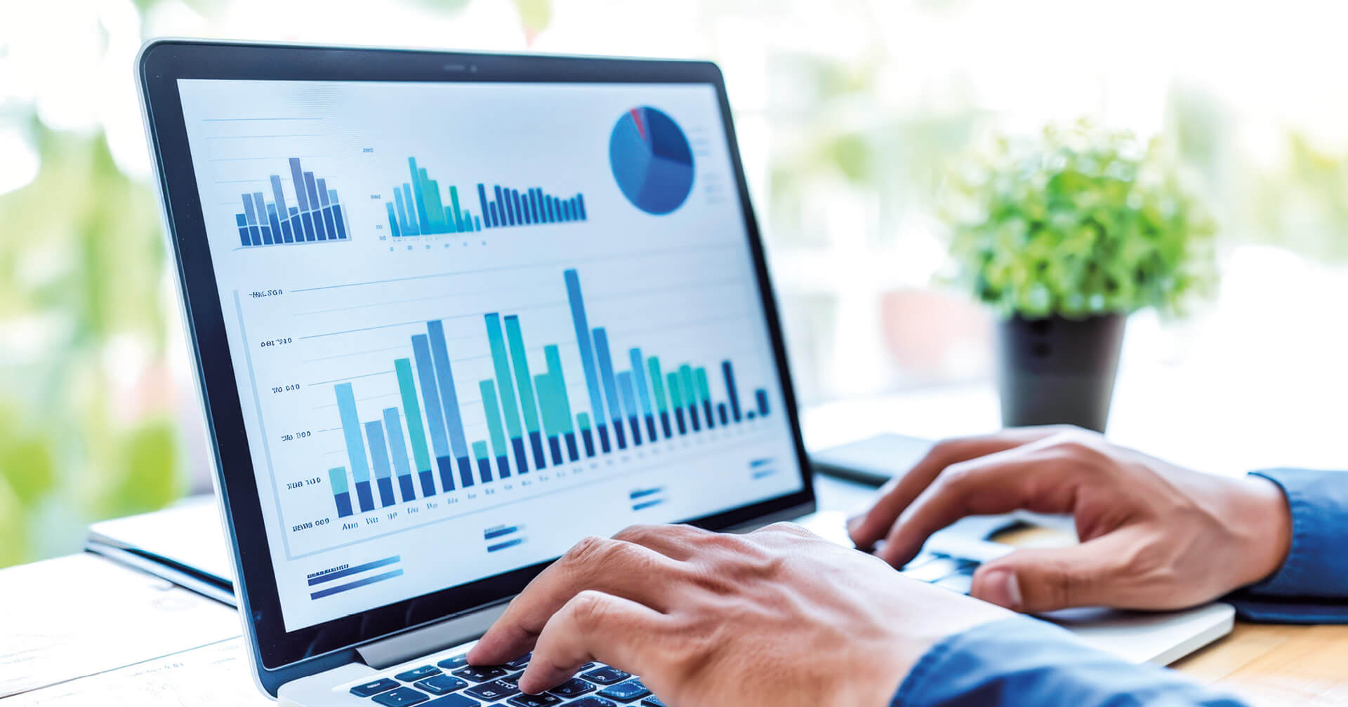 Nahaufnahme eines Laptops auf einem Schreibtisch, auf dessen Bildschirm verschiedene blau-grüne Balkendiagramme und ein Kuchendiagramm zu sehen sind. Eine Person bedient die Tastatur; im hellen, unscharfen Hintergrund steht eine kleine Pflanze.